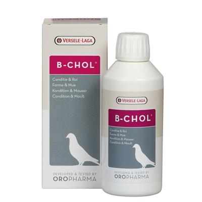 OROPHARMA - B-CHOL, Condition & Moult (500 ml.), Versele Laga