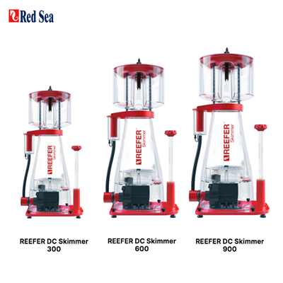 Red Sea REEFER DC Skimmer โปรตีนสกิมเมอร์ประสิทธิภาพสูง ฉลาด และ เงียบ รุ่นใหม่ ปั๊ม DC มีระบบป้องกันน้ำล้น